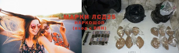 эйфоретик Алзамай