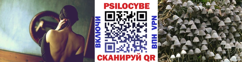 Псилоцибиновые грибы Cubensis Навашино